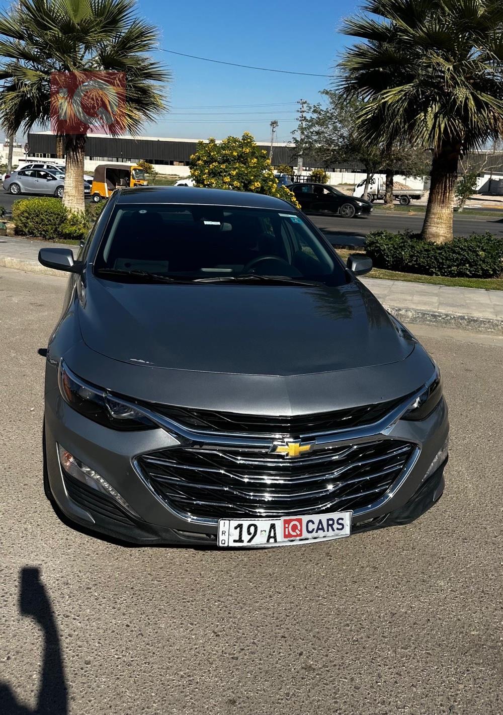 شيفروليه ماليبو